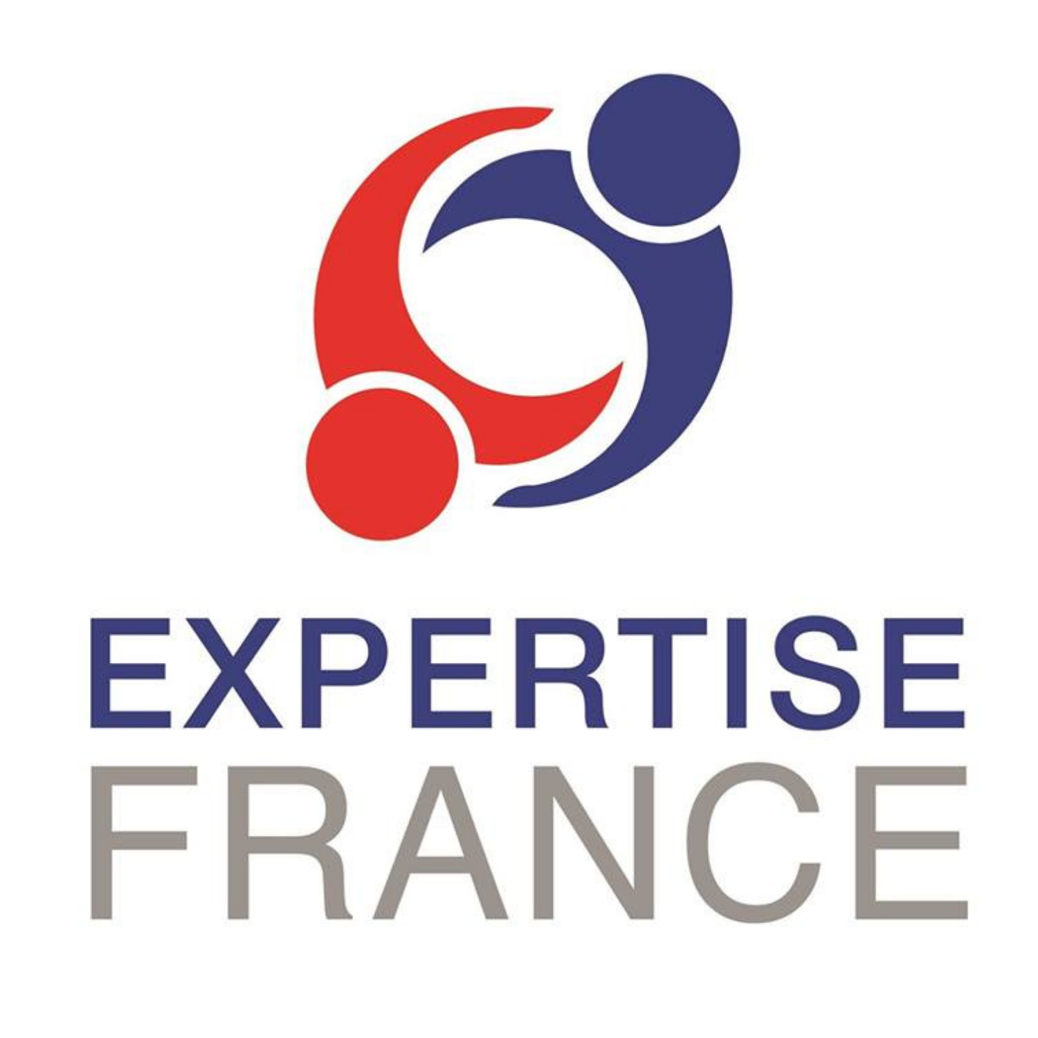 Expertise France Logo – RESEMBID Website